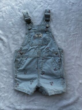 OshKosh B'gosh Light Blue Pinstripe Floral Short Overalls